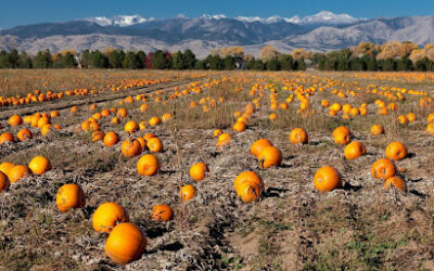 Fall in Longmont, Colorado: Things To Do In 2022