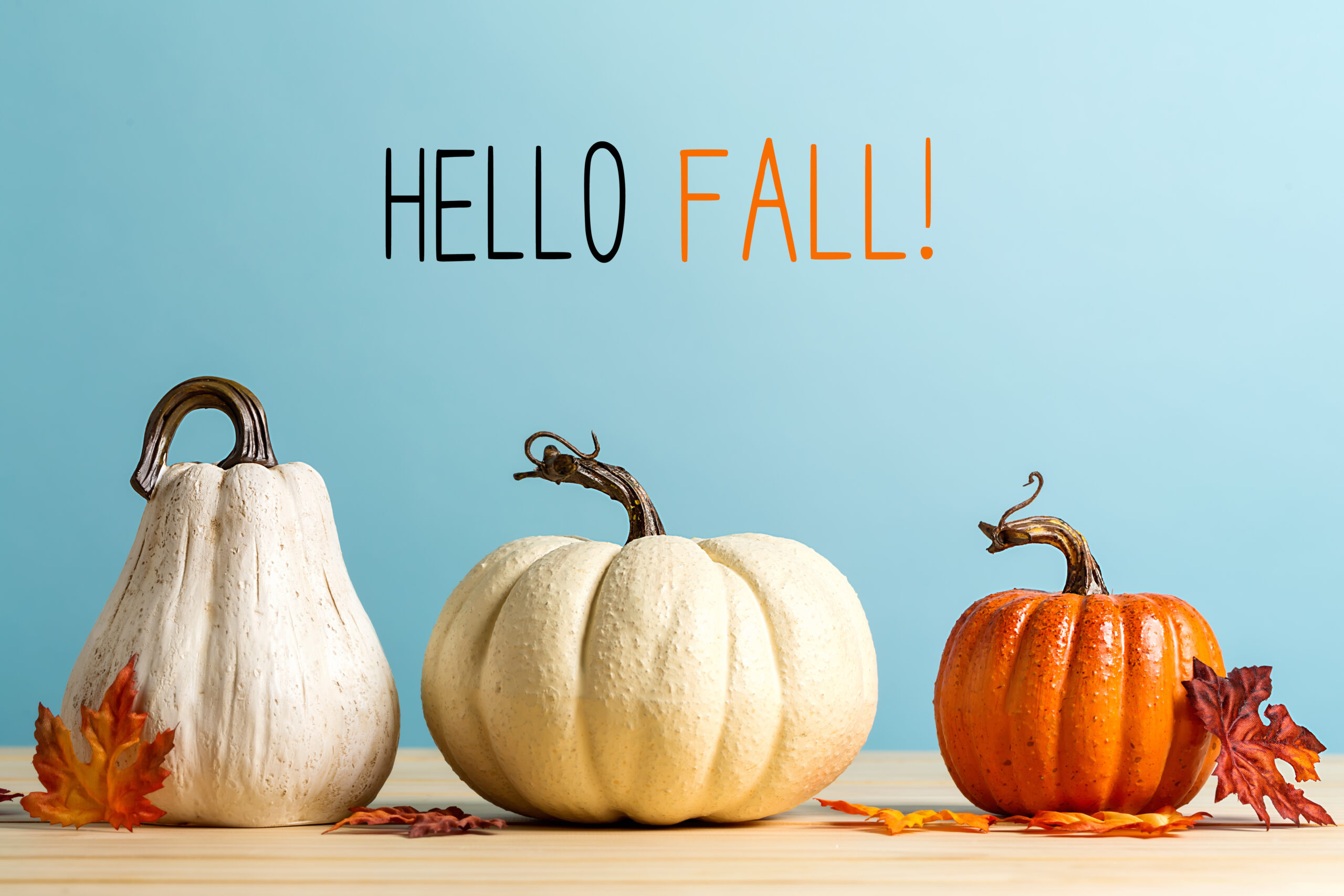 Three pumpkins below the words, "Hello Fall!"