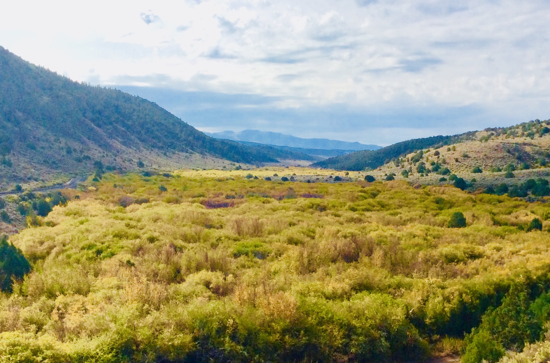 Longmont hay bale sales southern colorado